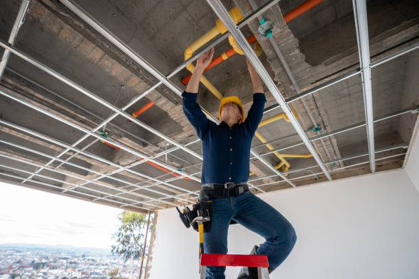 Best Affordable Plumbing Services  in Chariton, IA