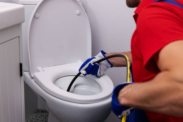Best Local Plumber Services  in Chariton, IA