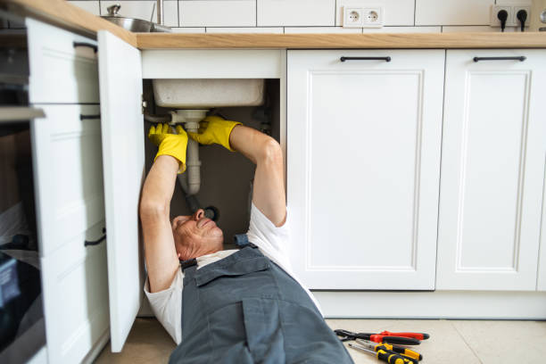 Best Affordable Plumber Near Me  in Chariton, IA